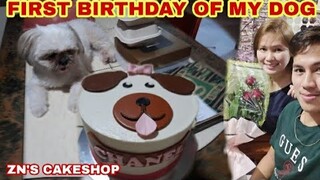 First Birthday Of my Shihtzu | Happy Birthday