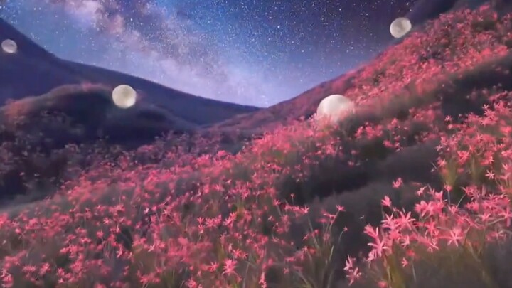 “ภาพที่เหมือนฝัน”
