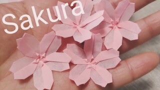 [Origami] Really beautiful! I have folded the most beautiful cherry blossoms.