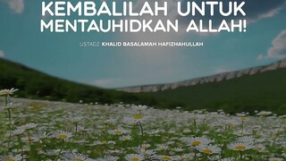 kembalilah untuk mentauhidkan Allah