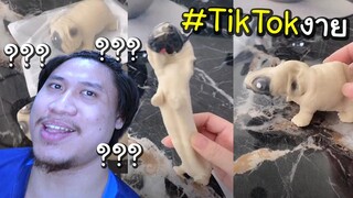 บ๊อบบี้หมาน้อยมหัศจรรย์ #TikTokงาย