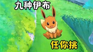 “一口气看完伊布的所有形态”