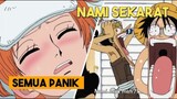 Panik Dan Bingung, Navigator Nami Jatuh Sakit | Alur Cerita One Piece Episode 78