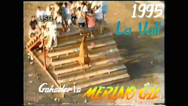 1995 LA VALL MERINO GIL CABRERA, PANTOJA, CARIÑOSA, ESCANDALO, CARETICA, MIMOSA, BODEGUERA Y GUAPA