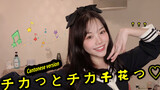 [Secretary Dance/Cover] "チカっとチカ千花っ♡"  "Canton Thousand Flowers"