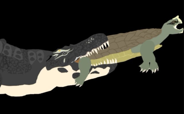 Nguyên bản hoạt hình cá sấu Phổ săn mồi rùa