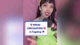 Tagalog Renai Circulation featuring my lame dance moves  renaicirculation  renaicirculationcover animetok kawaiifashion animeph bakemonogatari