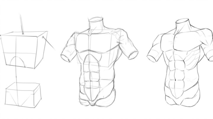 [Digital Art] How to Draw Abs?