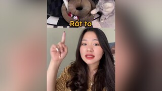 Rất nà mất thời gian, mà phải to mèo chơi mới đã 😘 mèo cat thaomeo tiktokshop