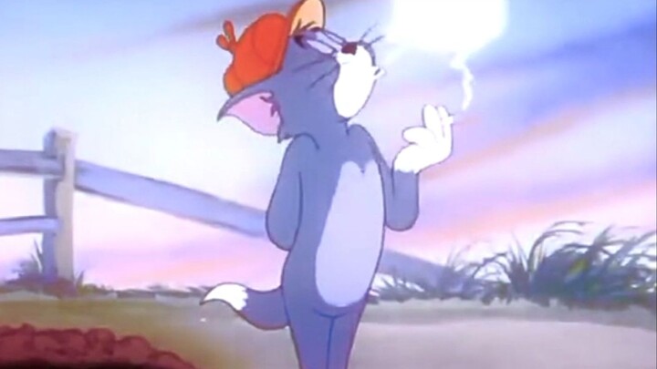 【Tom and Jerry】Tom yang "Elegan dan Abadi".