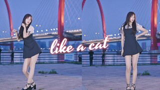 【訴沫】绝美夜景like a cat❤猫步轻俏-AOA