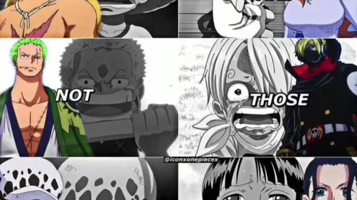 Straw hat pirates |ONE PIECE|