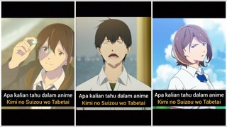 3 Hal Menarik Yang Saya Temukan Dalam Anime Kimi no Suizou wo Tabetai