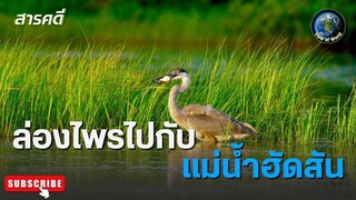 ล่องไพรไปกับแม่น้ำฮัดสัน - สารคดีพากย์ไทย  HUDSON RIVER WILD