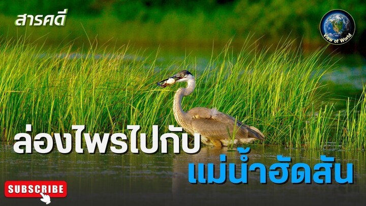 ล่องไพรไปกับแม่น้ำฮัดสัน - สารคดีพากย์ไทย  HUDSON RIVER WILD
