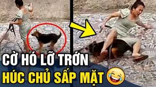 Tổng hợp tình huống 'HÀI ĐỘNG VẬT' không cười không lấy tiền P8 | Tin 3 Phút Hài