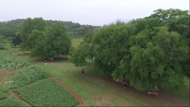 Hài Dân Gian Việt Nam Mới Nhất  Cày Ngày Cày Đêm Full HD  Phần 1