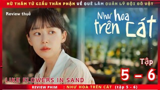 Review phim: Như Hoa Trên Cát tập 5 - 6 - Like flowers in sand -  Review thuê