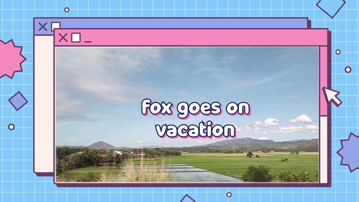 【vlog】fox goes on vacation