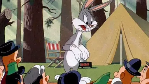Looney Tunes Classic Collections - Hare Conditioned