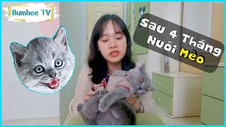 Những Kinh Nghiệm Sau 4 THÁNG Chăm Sóc MÈO ANH LÔNG NGẮN???