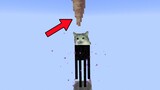 [MC] Enderman's invincibility myth is shattered! (New in 1.17)