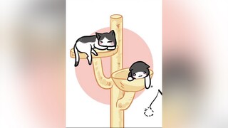 Ngã đấy con yêu ❤ mèo pet cute foryou