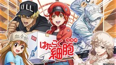 [5] Hataraku Saibou (Cells at Work!) DUB INDO