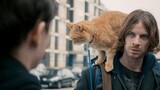 This Cat Touched The Homeless Man’s Hand And Turned Him Into The Most Famous Person Ever