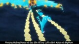 Phương hoàng Maro đến hỗ trợ Luffy đánh BigMom #onepiece