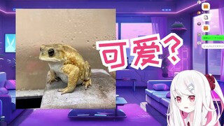 日本辣妹的奇怪兴趣，养了变色龙还想养蟾蜍🐸