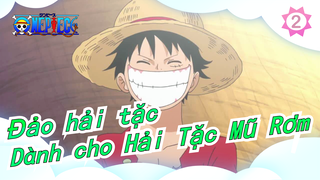 [Đảo hải tặc/AMV/Cảm động] Dành cho Hải Tặc Mũ Rơm, Hồi tưởng - Ký ức_2
