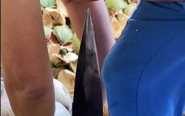 Hainan’s special industry “peeling old coconut skins” to make coconut oil. Let’s take a look at how 