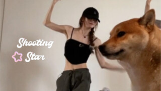 会跟你一起跳舞的小柴泰酷辣！🐕sʜᴏᴏᴛɪɴɢ sᴛᴀʀ