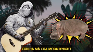 CON HÀ MÃ MOON KNIGHT HÁT GÌ? | meXINE