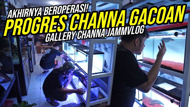 GACOAN CHANNA MARU JAMMVLOG!!! - CHANNA PROGRES PERTAMA PENGHUNI MINI GALERI CHANNA JAMMVLOG!!!