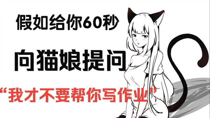 假如给你60秒向猫娘提问（第二期）