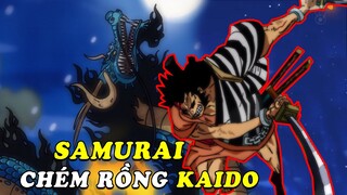 Top 10 sự thật về Kinemon - Hỏa hồ samurai gây trọng thương cho Kaido