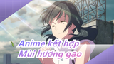 Anime kết hợp|Hát bài "Mùi hương gạo" với 60 lời ca của Anime