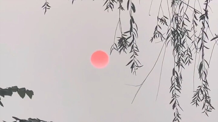 “สุนทรียศาสตร์แบบตะวันออกไม่ได้หลอกฉันเลย ปรากฏว่าภาพวาดของจีนมีความสมจริงมาก”