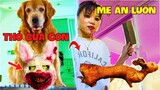 Thú Cưng Vlog | Chó Gâu Đần Golden Troll Mẹ #22 | Chó golden vui nhộn | Funny pets smart dog