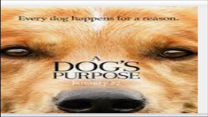 A Dog's Purpose (Tagalog Dub)