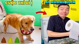 Thú Cưng Vlog | Tứ Mao Ham Ăn Đại Náo Bố #26 | Chó gâu đần thông minh vui nhộn | Smart dog funny pet