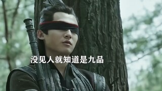 别说九品，大宗师都不是五竹叔的对手