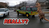 Fun|Funny Collection of Jurassic Park