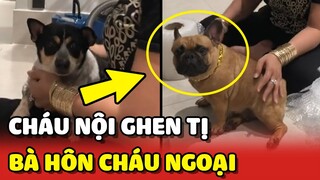 Cười xĩu với GƯƠNG MẶT của cháu NỘI khi thấy bà HÔN cháu NGOẠI 😂 | Yêu Lu