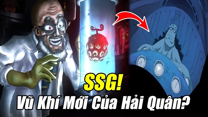 SSG Có Vai Trò Như Thế Nào Đối Với Hải Quân – Nguồn Gốc & Sức Mạnh | Giả Thuyết One Piece