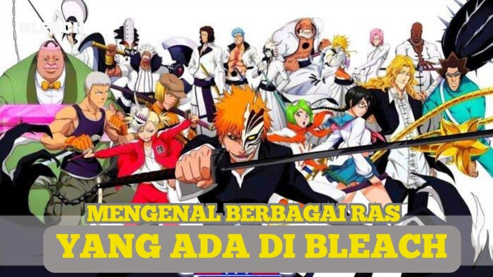 Mengenal 14 Ras Yang Ada di Universe Bleach