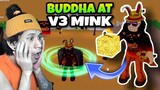 Blox Fruits #09 - How to Complete V1 to V3 Mink Race Using Buddha | Roblox Tagalog