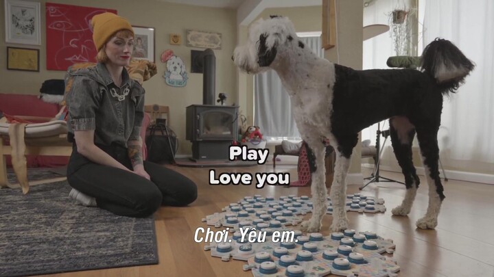 Cuộc sống bí mật của thú cưng EP 2 [Sub Việt]